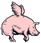 When Pigs Fly!